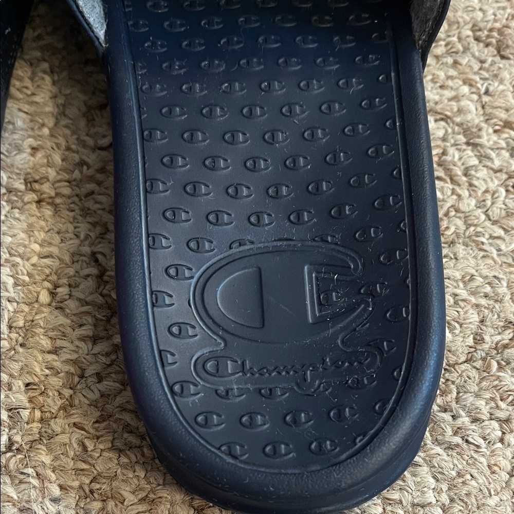 Champion Slides - Picture 4 of 7